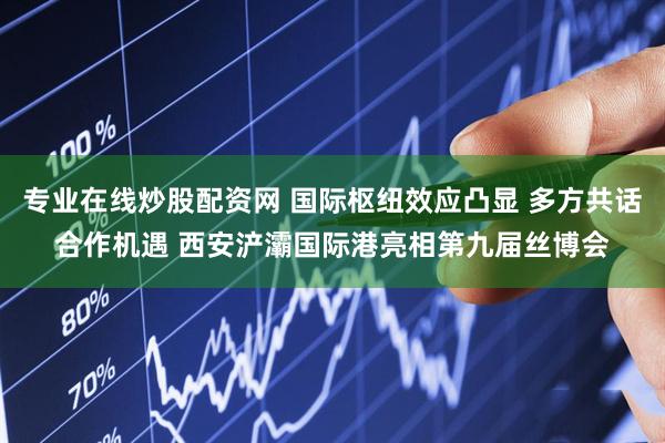 专业在线炒股配资网 国际枢纽效应凸显 多方共话合作机遇 西安浐灞国际港亮相第九届丝博会